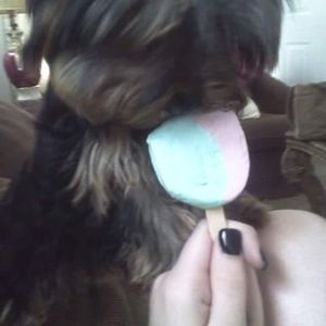 Meet your Posher, Dawn